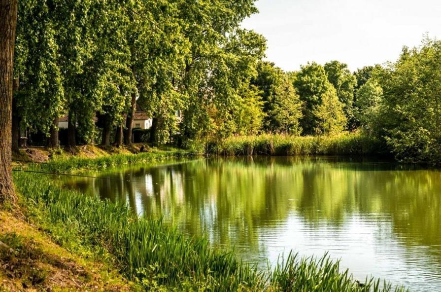 Chez Paulette Villa Avelgem Kültér fotó